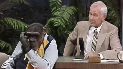 johnny carson chimp show.